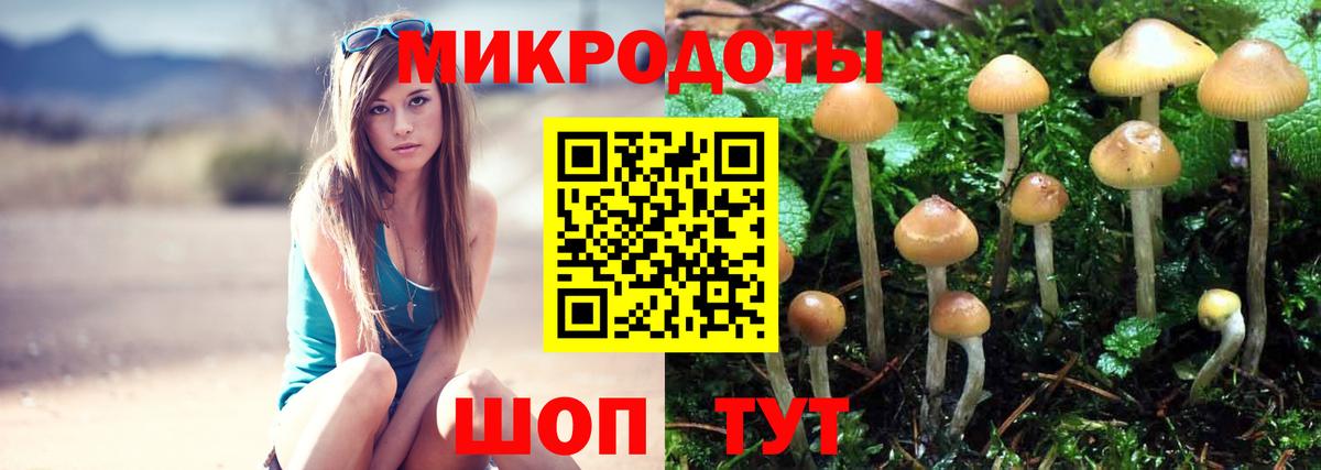 Галлюциногенные грибы GOLDEN TEACHER Камышлов