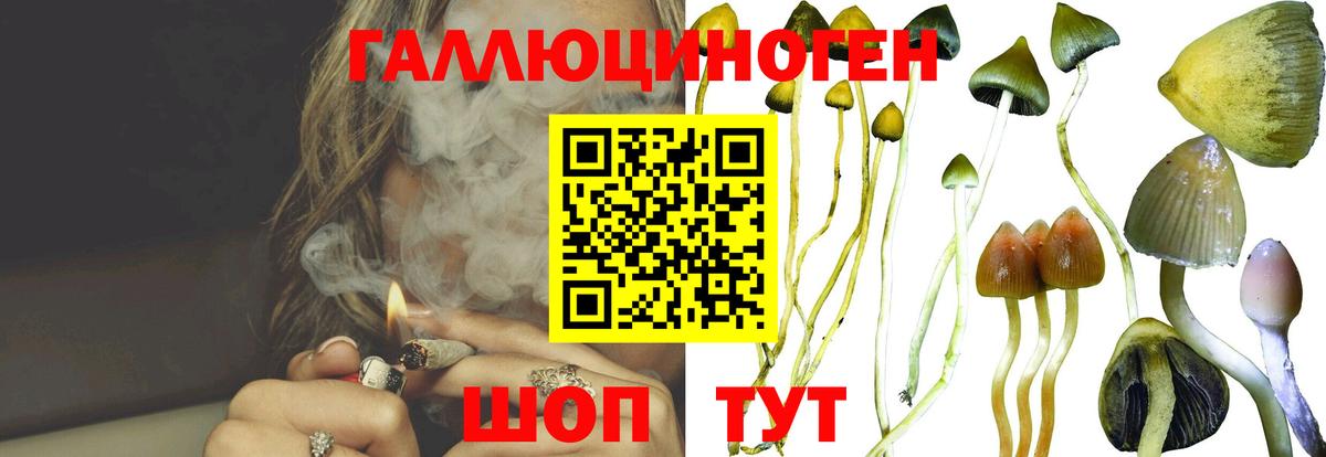 Галлюциногенные грибы мицелий  наркотики  Камышлов  Псилоцибиновые грибы мухоморы  Вход с VPN 